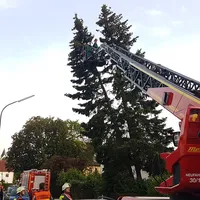20190610_204554.jpg