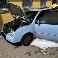 IMG_1182.jpeg