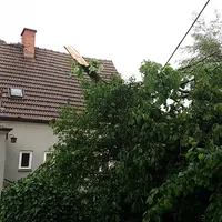 20190610_192448.jpg