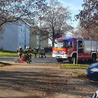 20201115_004.jpg