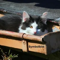 symbolbild.jpg