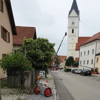 20190611_085921.jpg